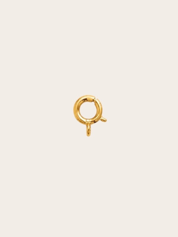Charm Clasp